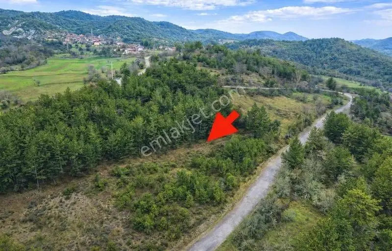 Göynük Kürnüç Köyünde 2379 M2 Satılık Arazi - Görsel 4