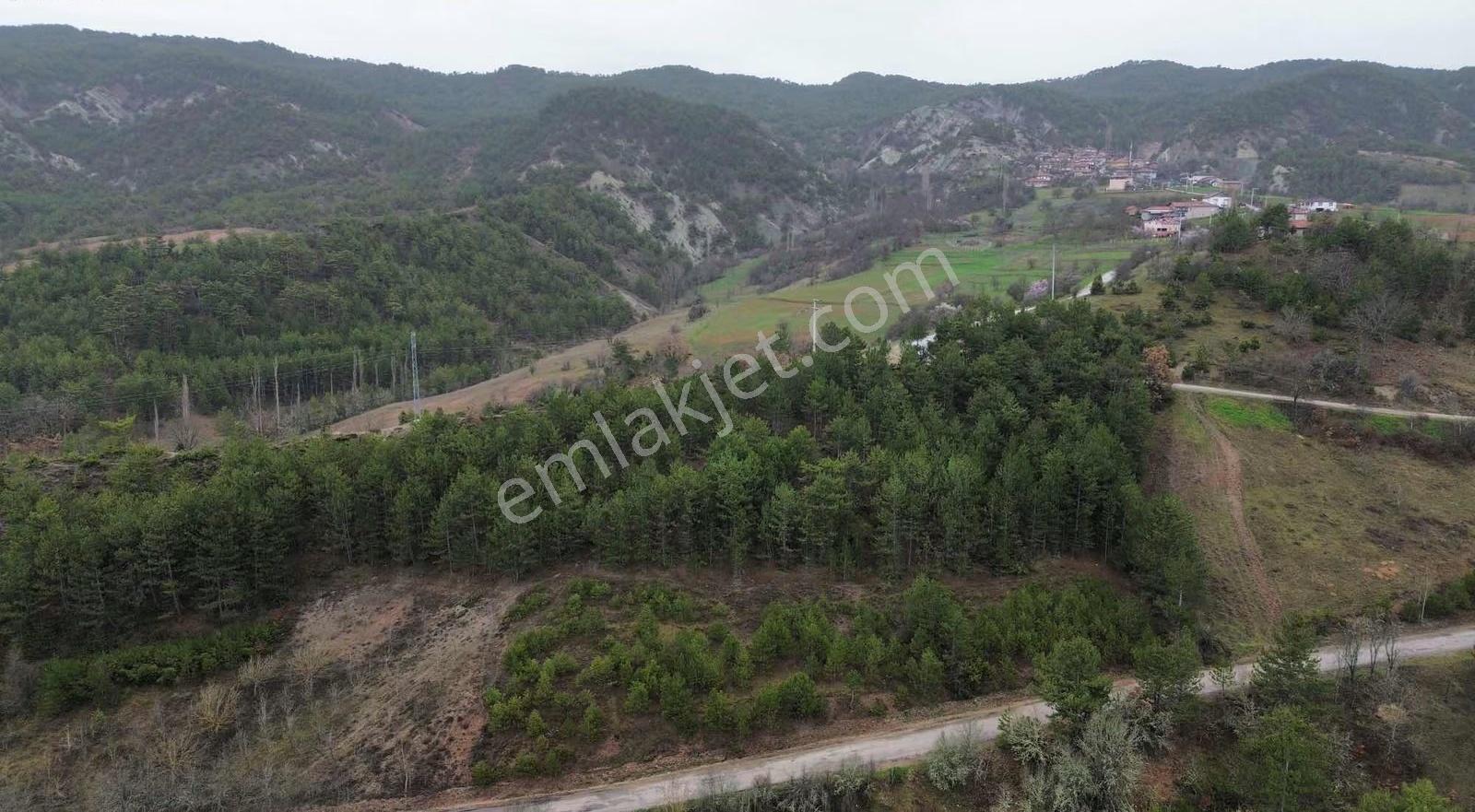 Göynük Kürnüç Köyünde 2379 M2 Satılık Arazi - Görsel 11