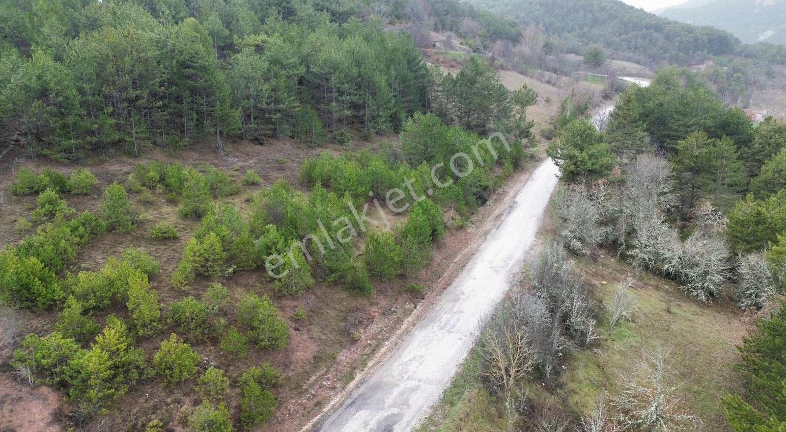 Göynük Kürnüç Köyünde 2379 M2 Satılık Arazi - Görsel 6