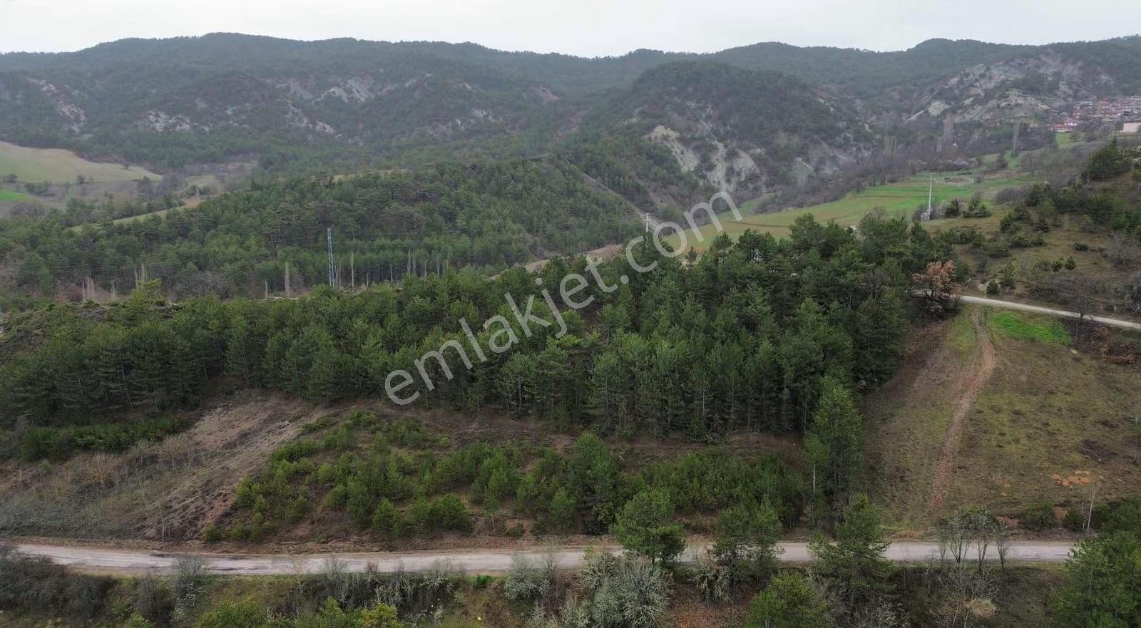 Göynük Kürnüç Köyünde 2379 M2 Satılık Arazi - Görsel 7