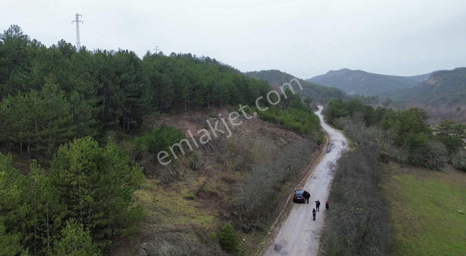 Göynük Kürnüç Köyünde 2379 M2 Satılık Arazi - Görsel 10