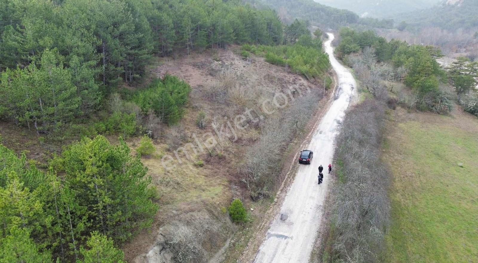 Göynük Kürnüç Köyünde 2379 M2 Satılık Arazi - Görsel 3