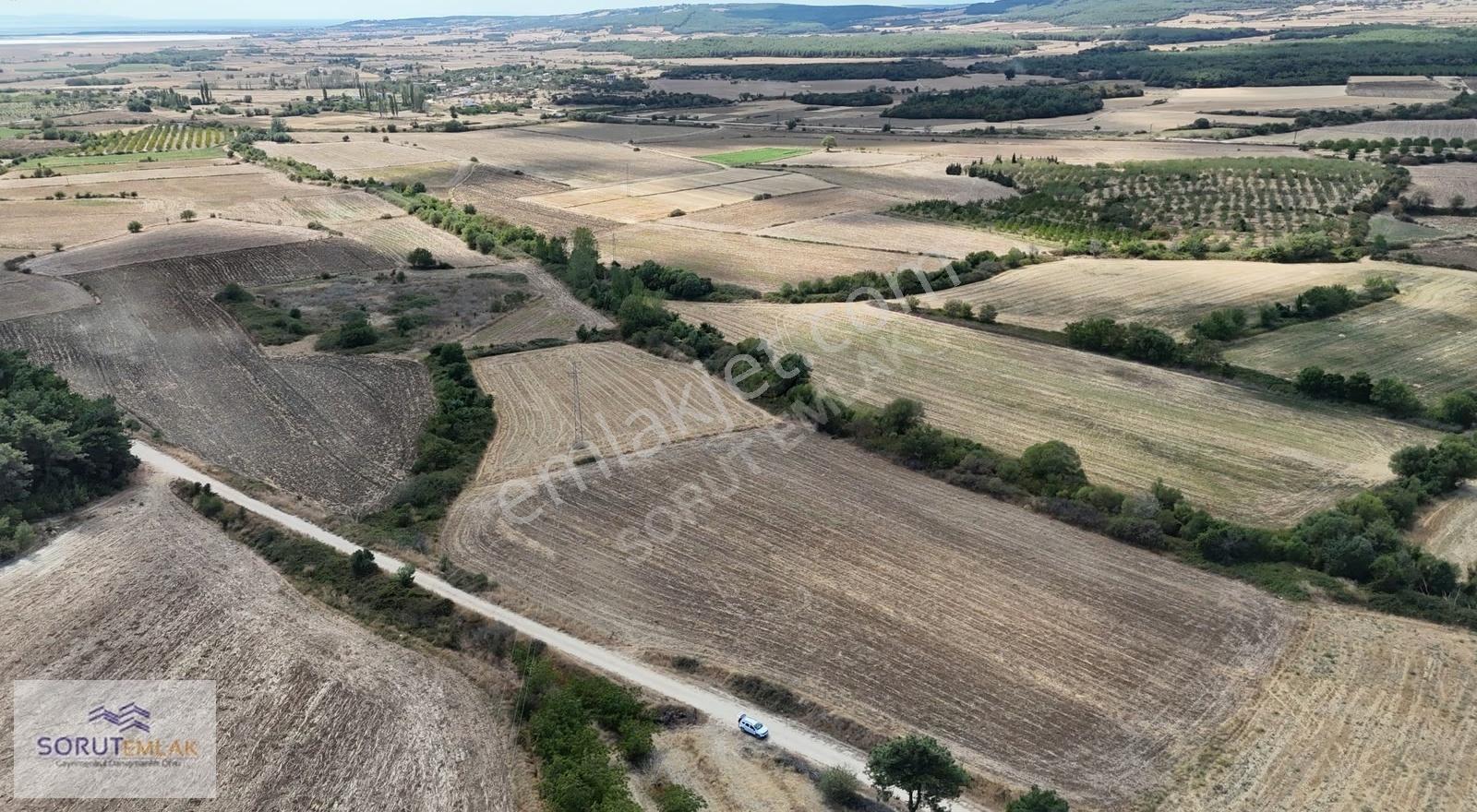Edirne Keşan Beyköy'de Satılık Tarla - 12.350 M² Yatırım Fırsatı - Görsel 5