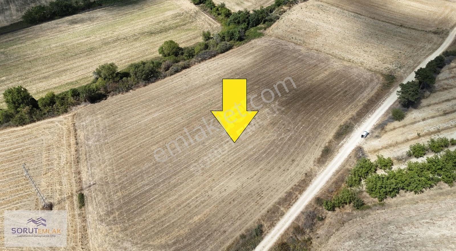 Edirne Keşan Beyköy'de Satılık Tarla - 12.350 M² Yatırım Fırsatı