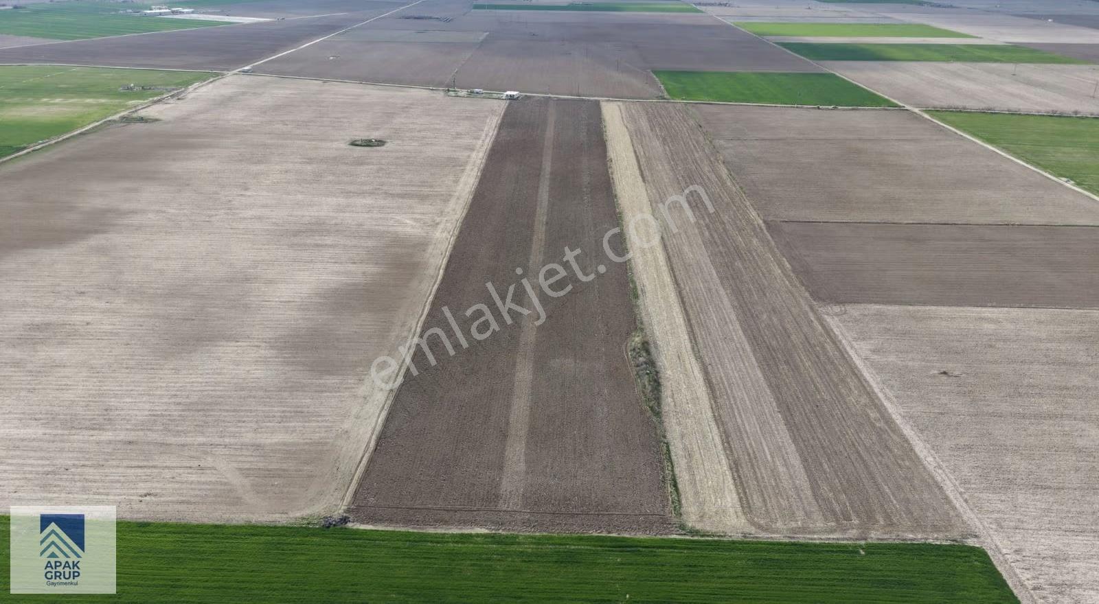 Yeşilhisar Dağılganda 39.000 M² Tek Tapu Uygun Fiyat Yatırımlık - Görsel 2