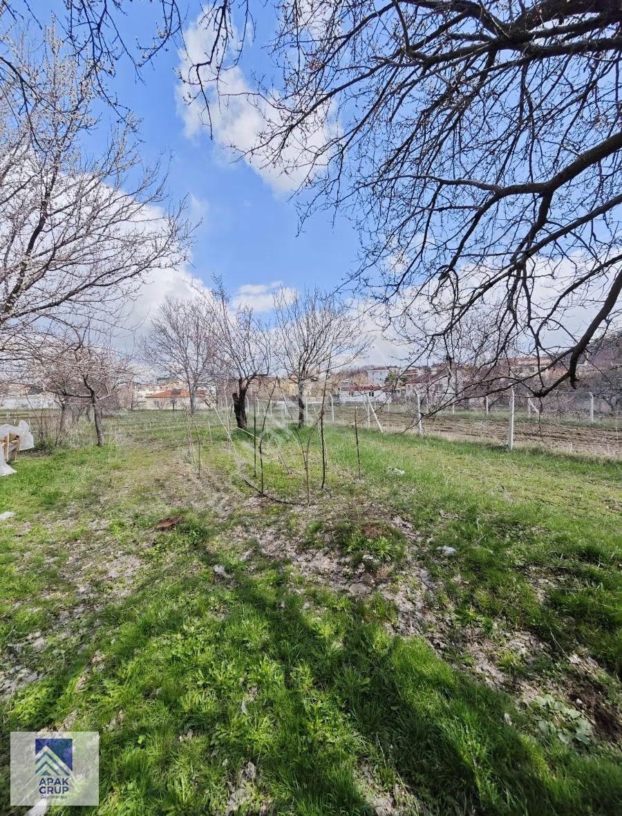 Hisarcık Erciyes Korudibinde 650 M² Bağana Caddeye Yakın Uygun - Görsel 11