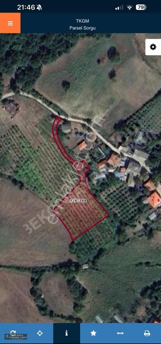 Uğurlar Köyünde Satılık 2.5 Dönüm