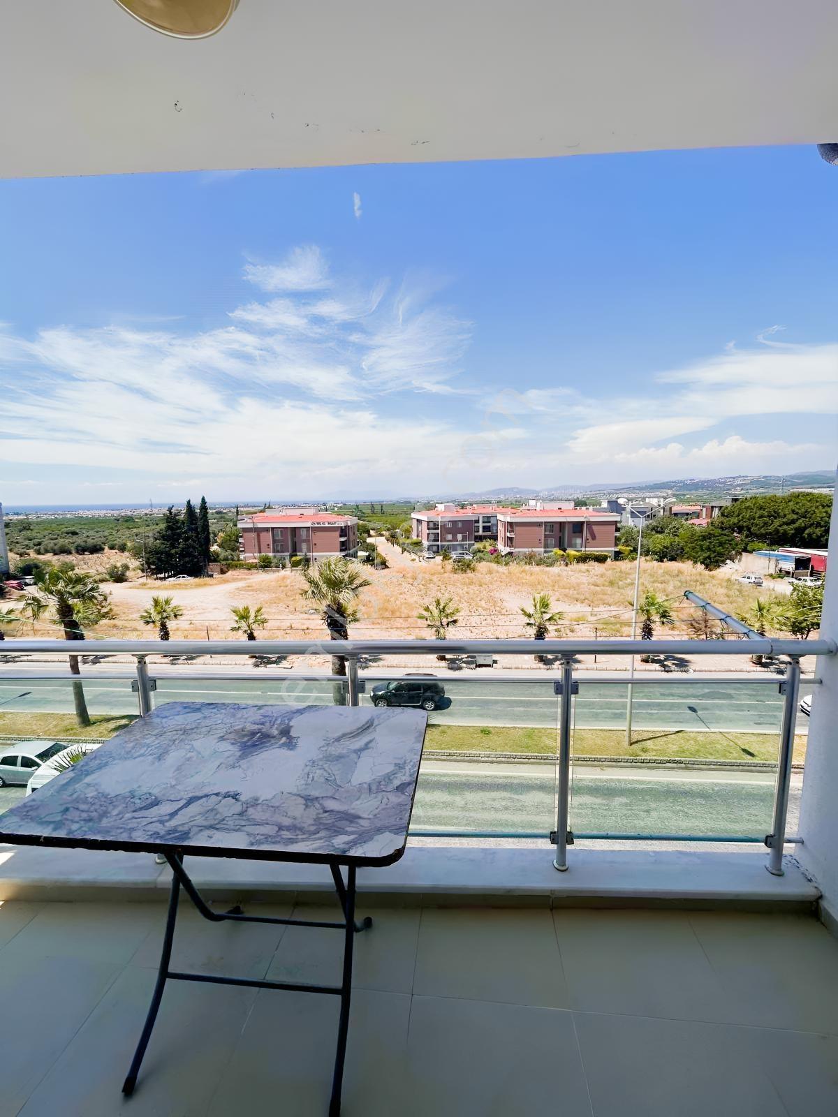 Kiralık 1+1