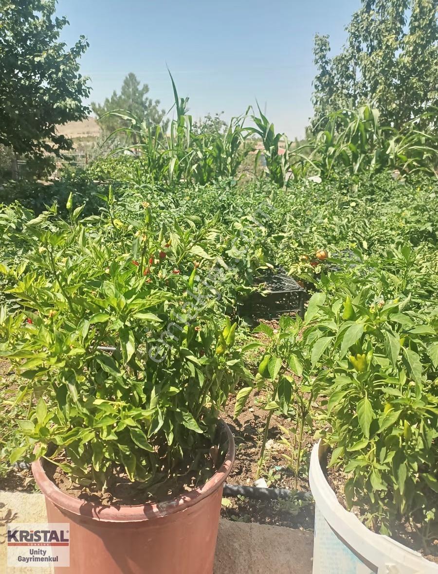 Kr Unıty'den Ankara Polatlıda Müstakil Tapulu Bağevi - Görsel 6