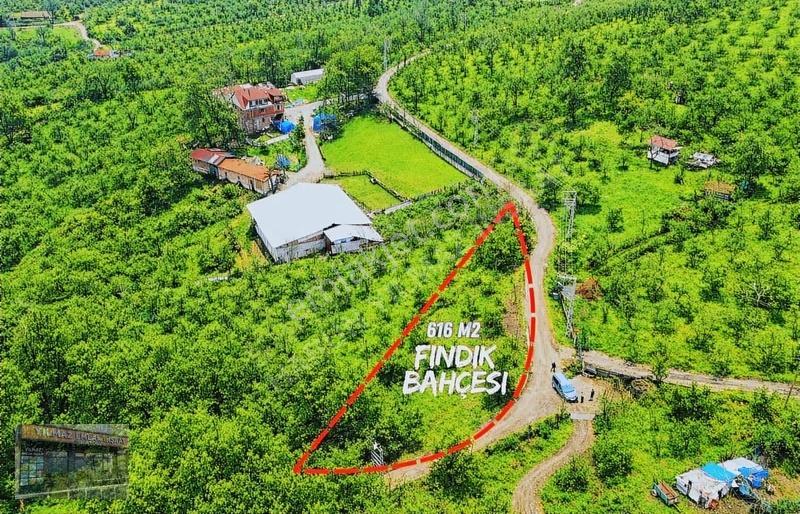 Harun Yılmaz İnşaat'tan 616 M2 Arsa Fırsatı Sadeçe 1,350,000 Tl - Görsel 6