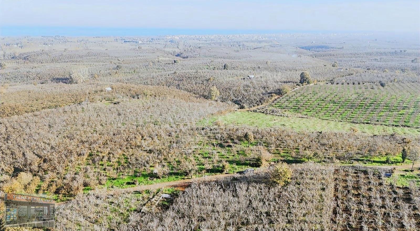 Yılmaz İnşaat'ta Yılın Son Kampanyası 360 M2 Yetişen Kazanır - Görsel 16