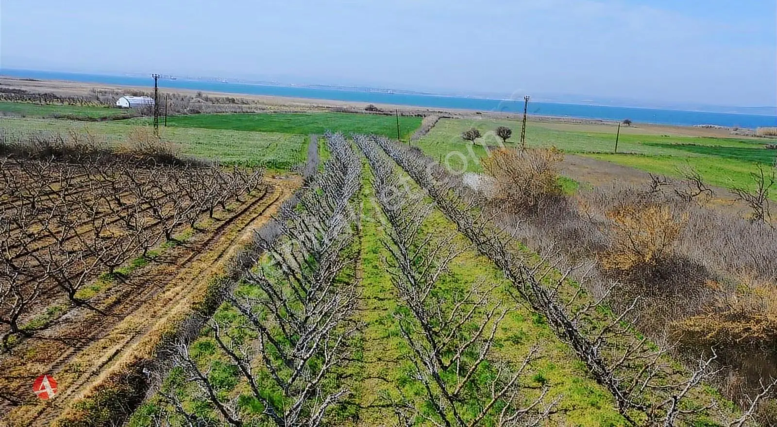 Lapseki, Çardak, Boğaza Komşu, İmara Yakın, Yatırım Fırsatı - Görsel 8