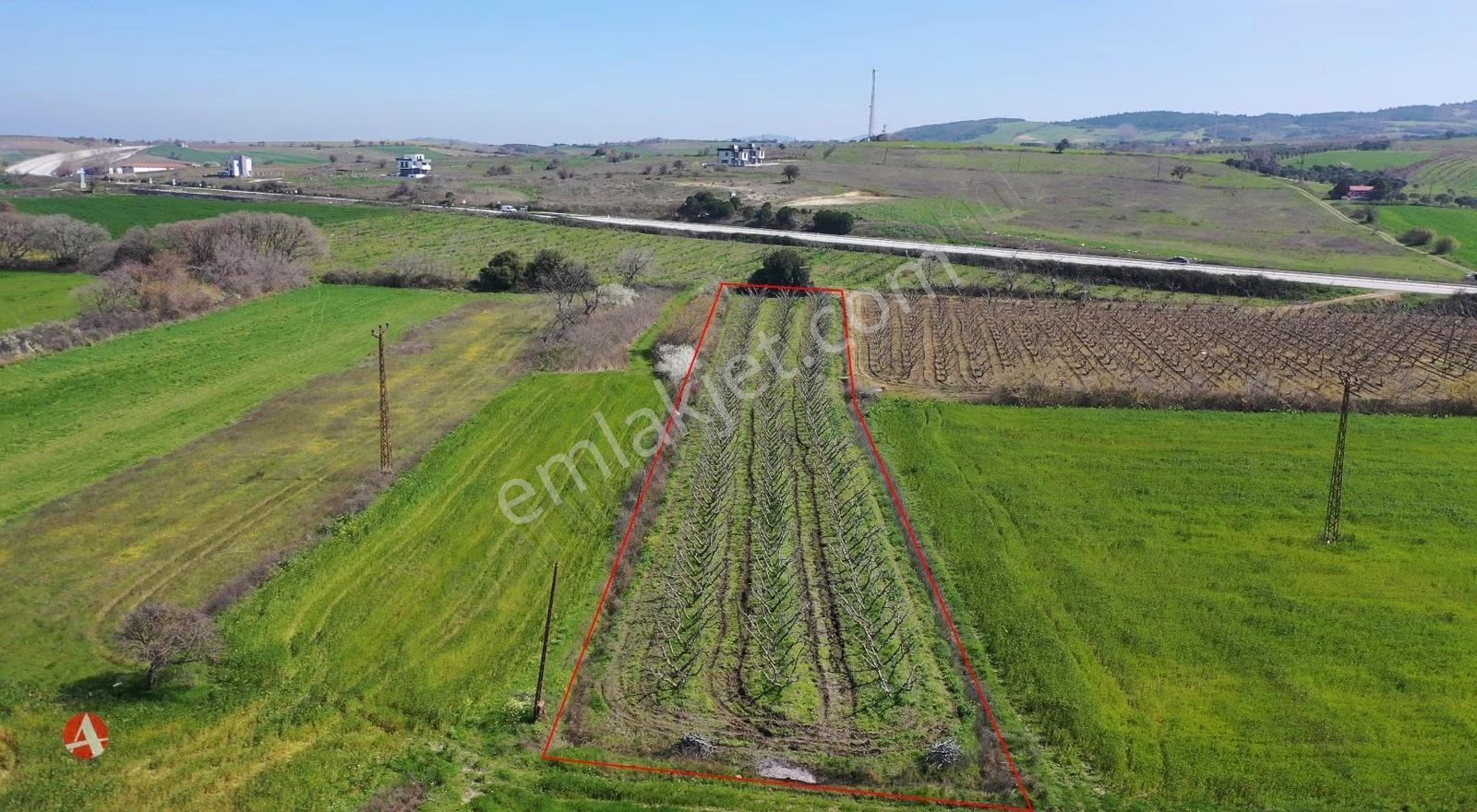 Lapseki, Çardak, Boğaza Komşu, İmara Yakın, Yatırım Fırsatı - Görsel 9