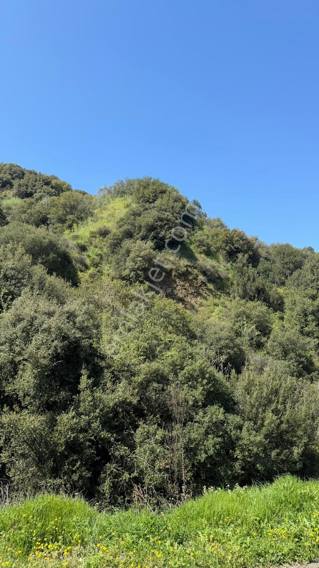Beyaz Gayrimenkulden Turgutlu Osmancık Mh De Satılık 2.972 M2 Tarla - Görsel 21