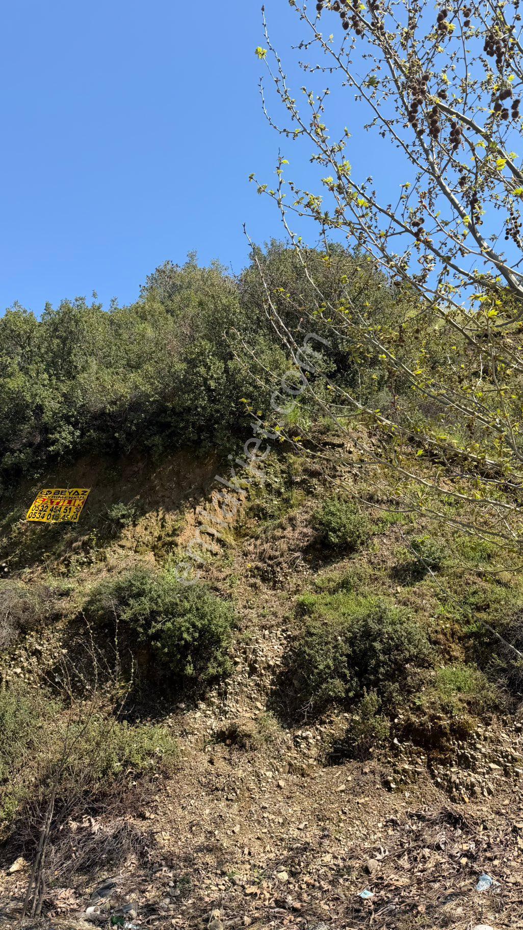Beyaz Gayrimenkulden Turgutlu Osmancık Mh De Satılık 2.972 M2 Tarla - Görsel 6
