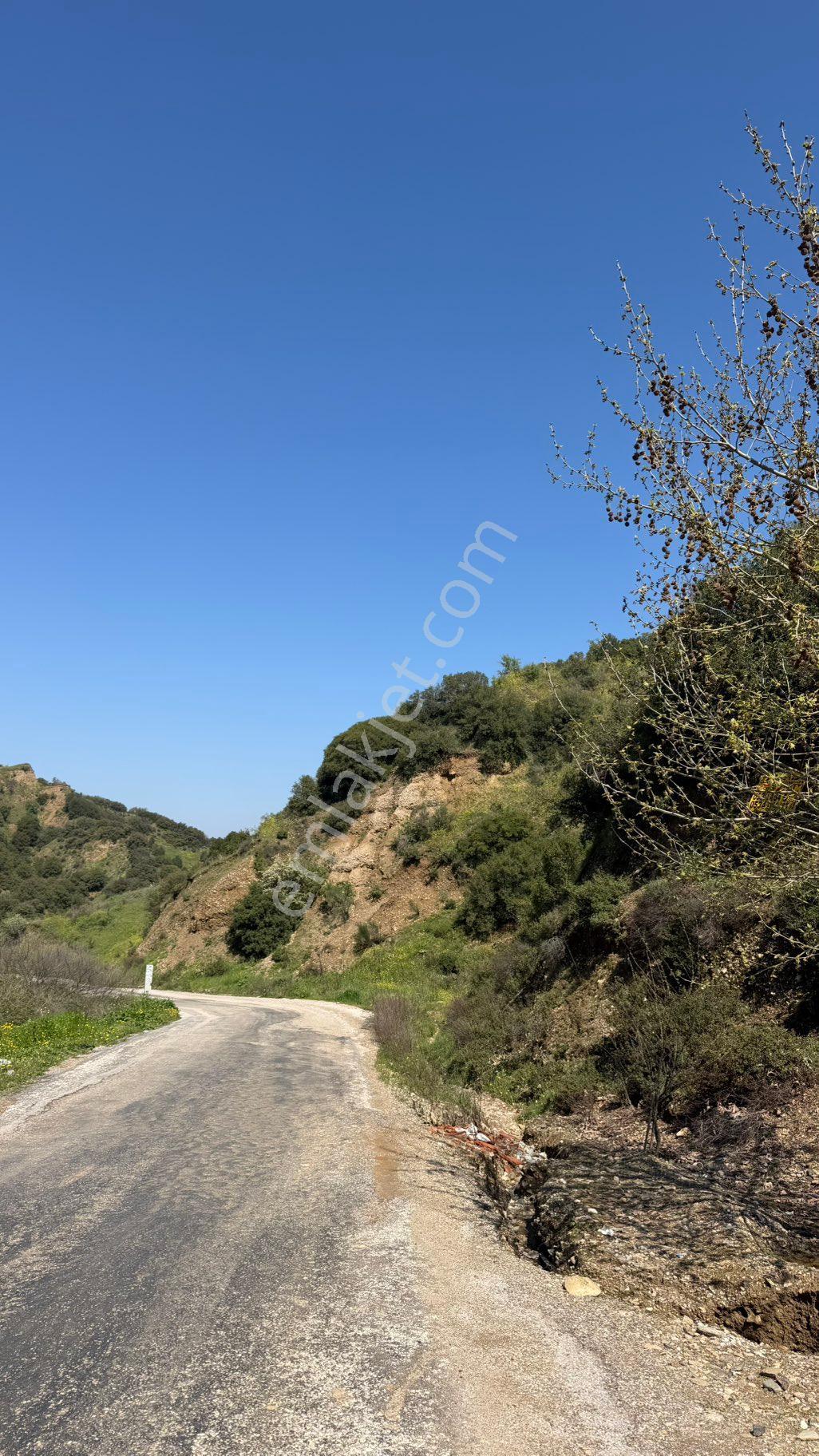 Beyaz Gayrimenkulden Turgutlu Osmancık Mh De Satılık 2.972 M2 Tarla - Görsel 28