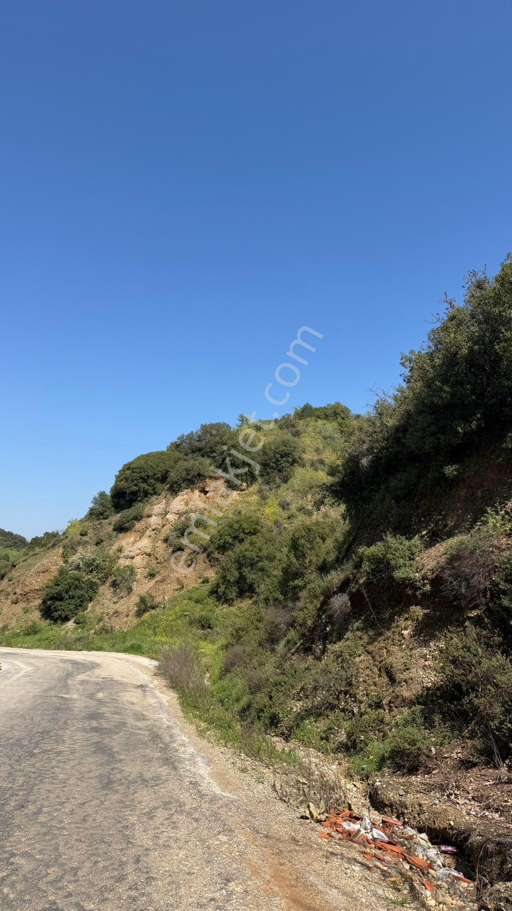 Beyaz Gayrimenkulden Turgutlu Osmancık Mh De Satılık 2.972 M2 Tarla - Görsel 9