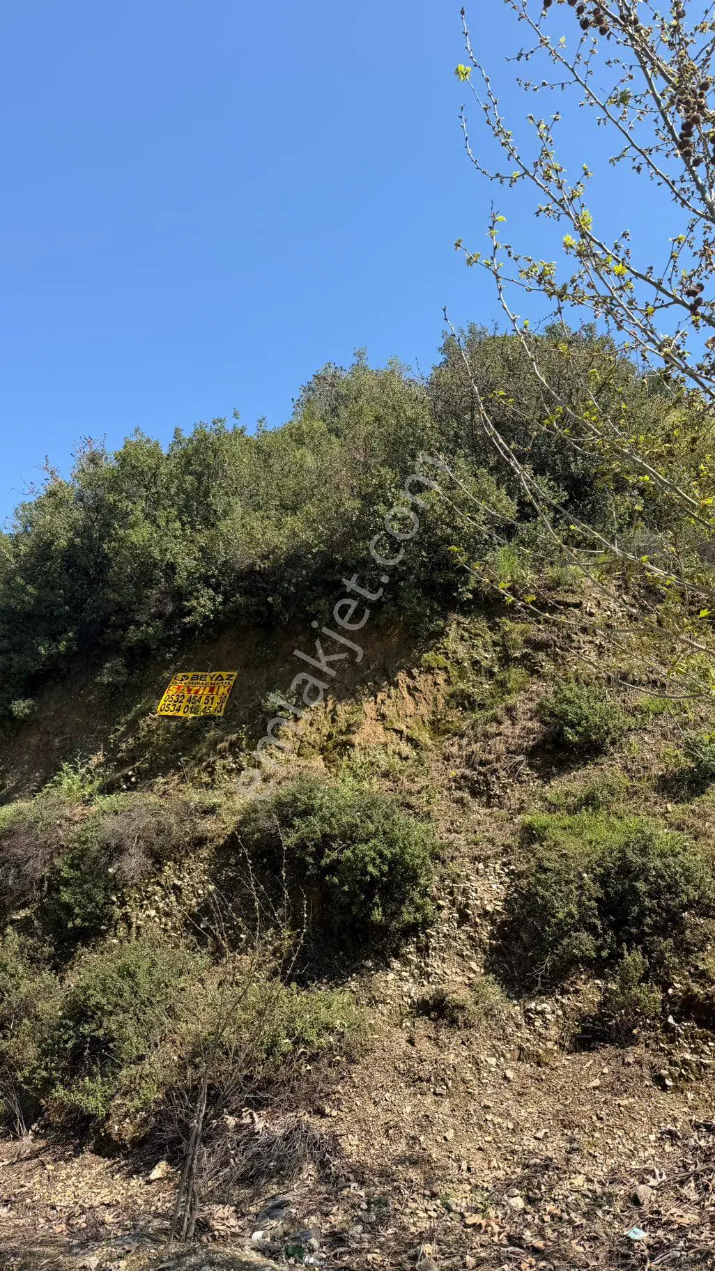 Beyaz Gayrimenkulden Turgutlu Osmancık Mh De Satılık 2.972 M2 Tarla - Görsel 5