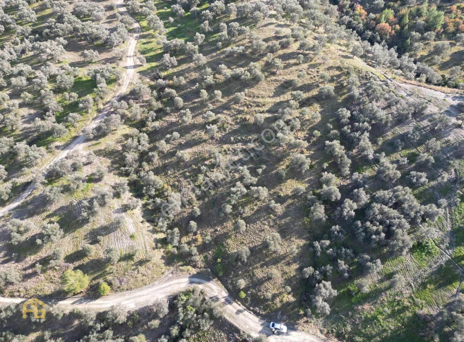 Seydikemer Hastane Karşısı Fırsat Satılık 2794m2 - Görsel 3