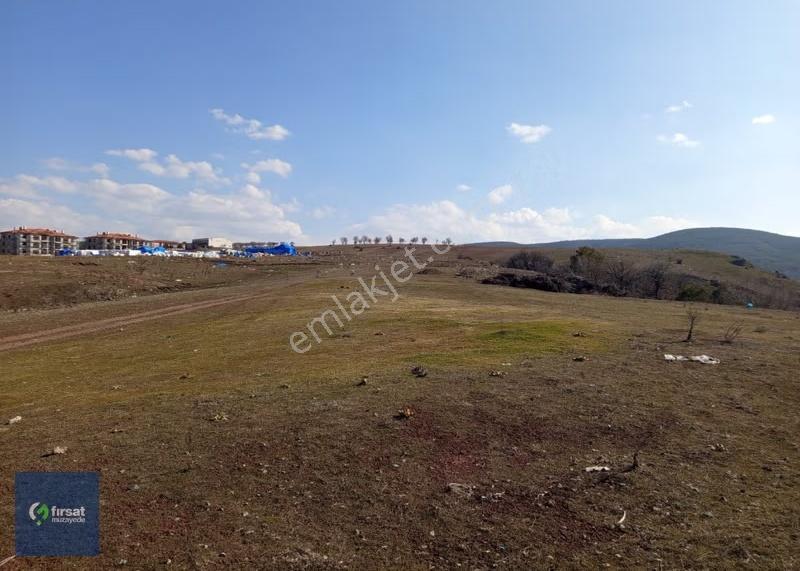 Alırken Kazanmanın Adresi ''fırsat Müzayede'' - Görsel 3