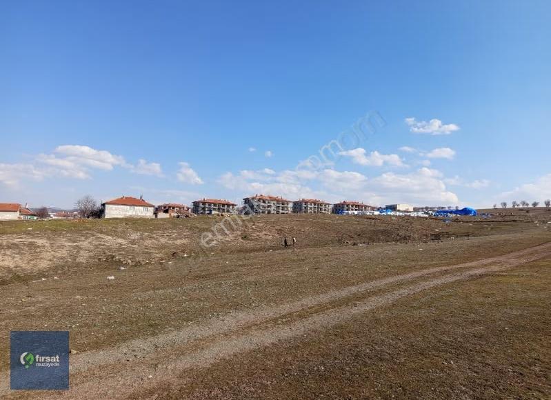 Alırken Kazanmanın Adresi ''fırsat Müzayede'' - Görsel 9