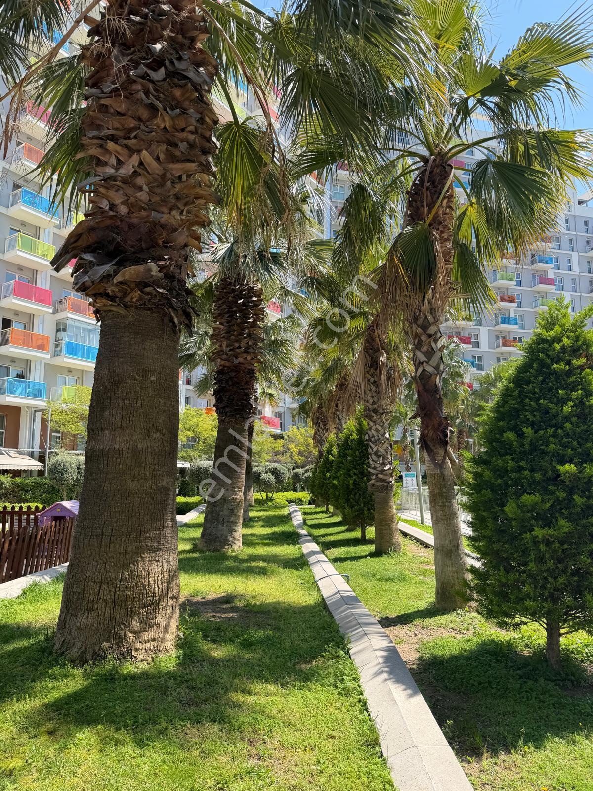 Soyak Optimusta 2+1 Açık Mutfak Satılık Boş Daire - Görsel 9