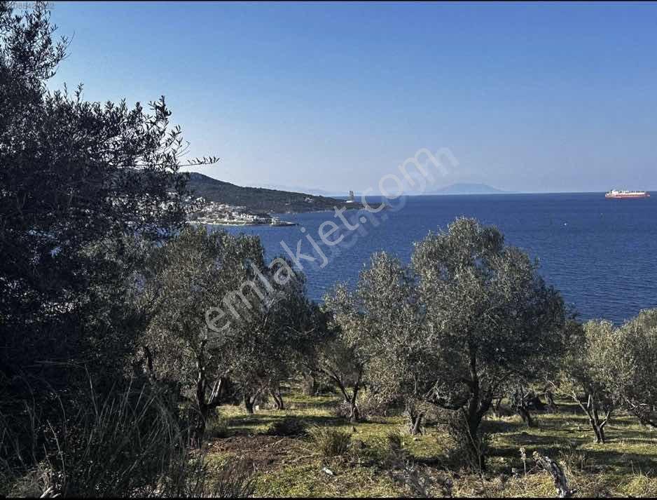 5️ Yeni Foçada Deniz Manzaralı İmar Potansiyelli Değerli - Görsel 4