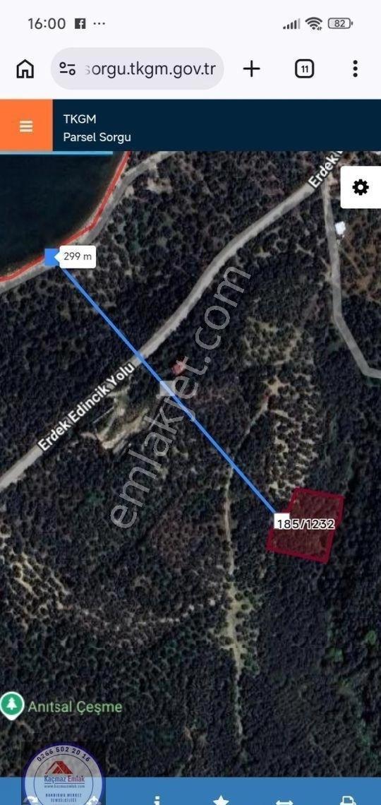 Bandırma Edincik Mahallesi 2.655m2 Satılık Zeytinlik - Görsel 2