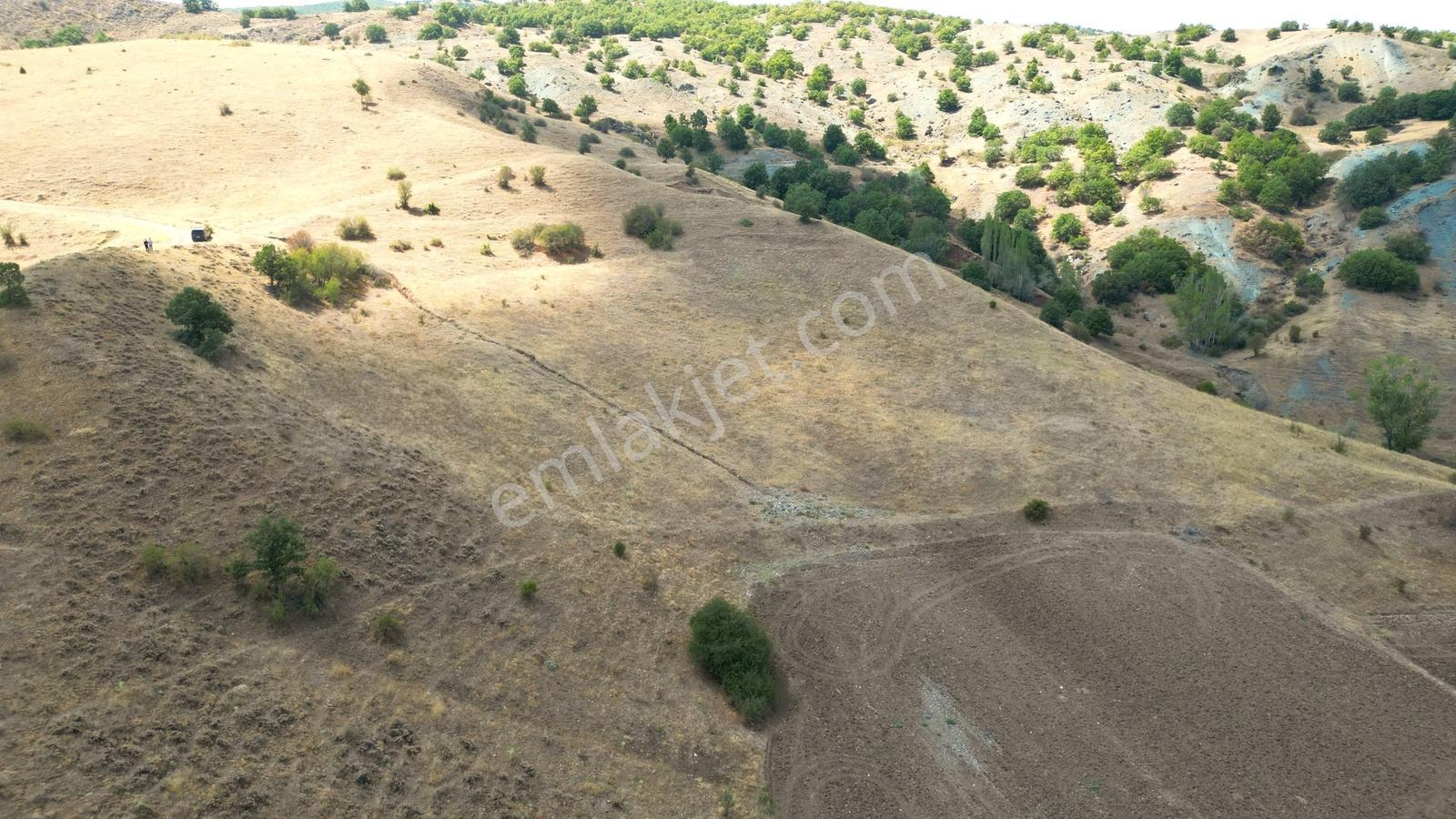 Çorum Boğazkale Yenikadılı Köye 400 Metre 11.518 M2 Tarla - Görsel 5