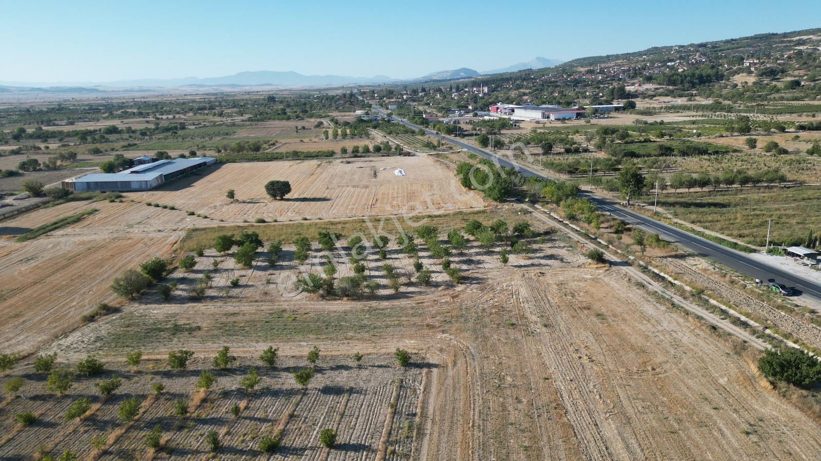 Çal İsabey' De 1910 M2 Bağ Asfalta 2. Parsel Araçla Ulaşılır - Görsel 12