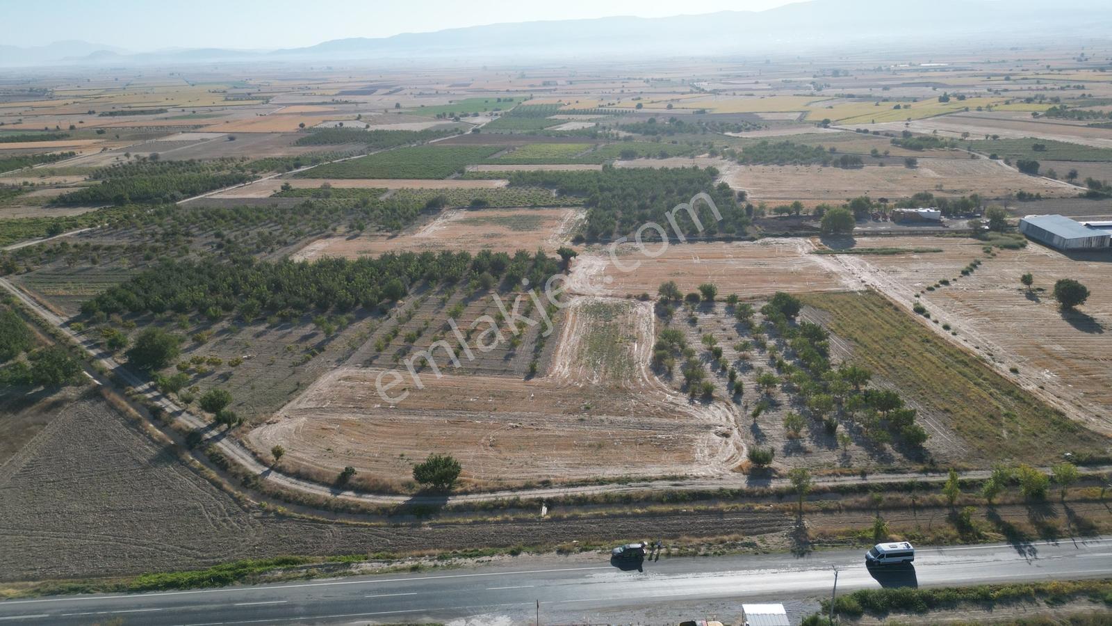 Çal İsabey' De 1910 M2 Bağ Asfalta 2. Parsel Araçla Ulaşılır - Görsel 13