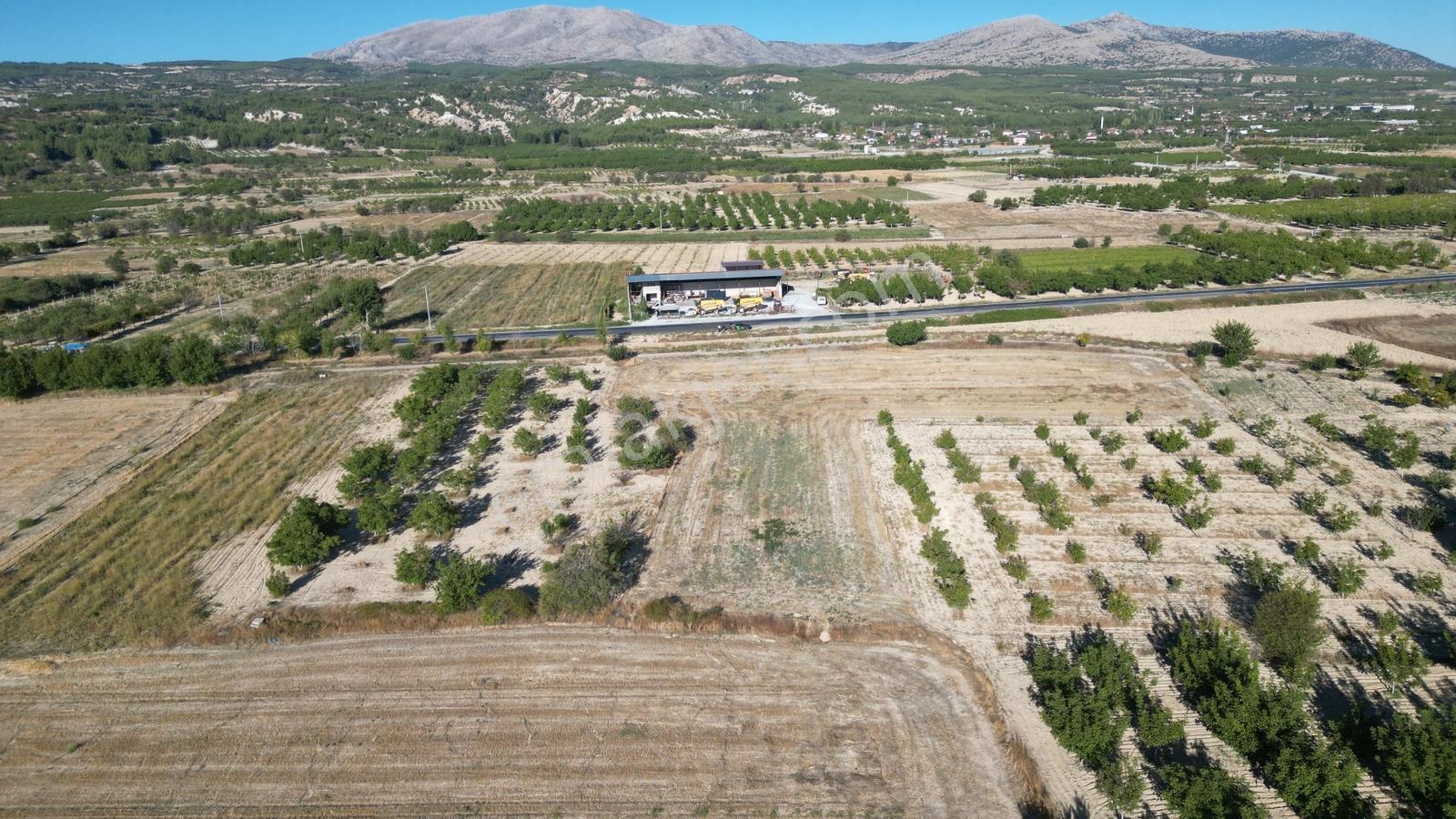 Çal İsabey' De 1910 M2 Bağ Asfalta 2. Parsel Araçla Ulaşılır - Görsel 11