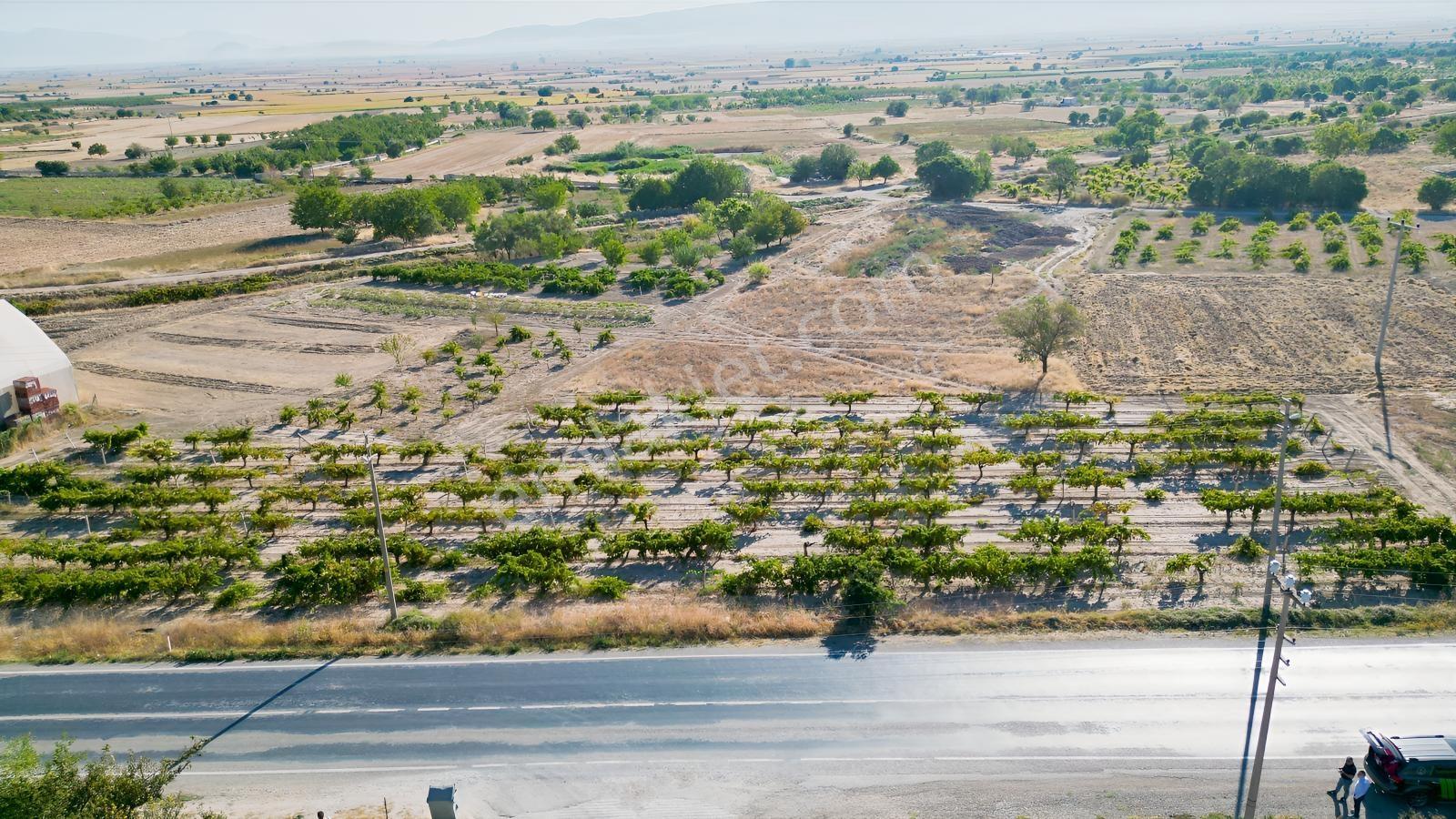 Çal İsabey' De 1910 M2 Bağ Asfalta 2. Parsel Araçla Ulaşılır - Görsel 9