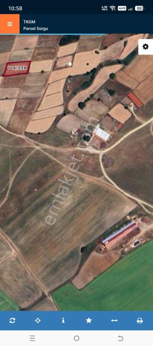 Tekirdağ Saray Yuvalı Da Satılık 1483 M2 Tek Tapu Bağ Yeri - Görsel 2