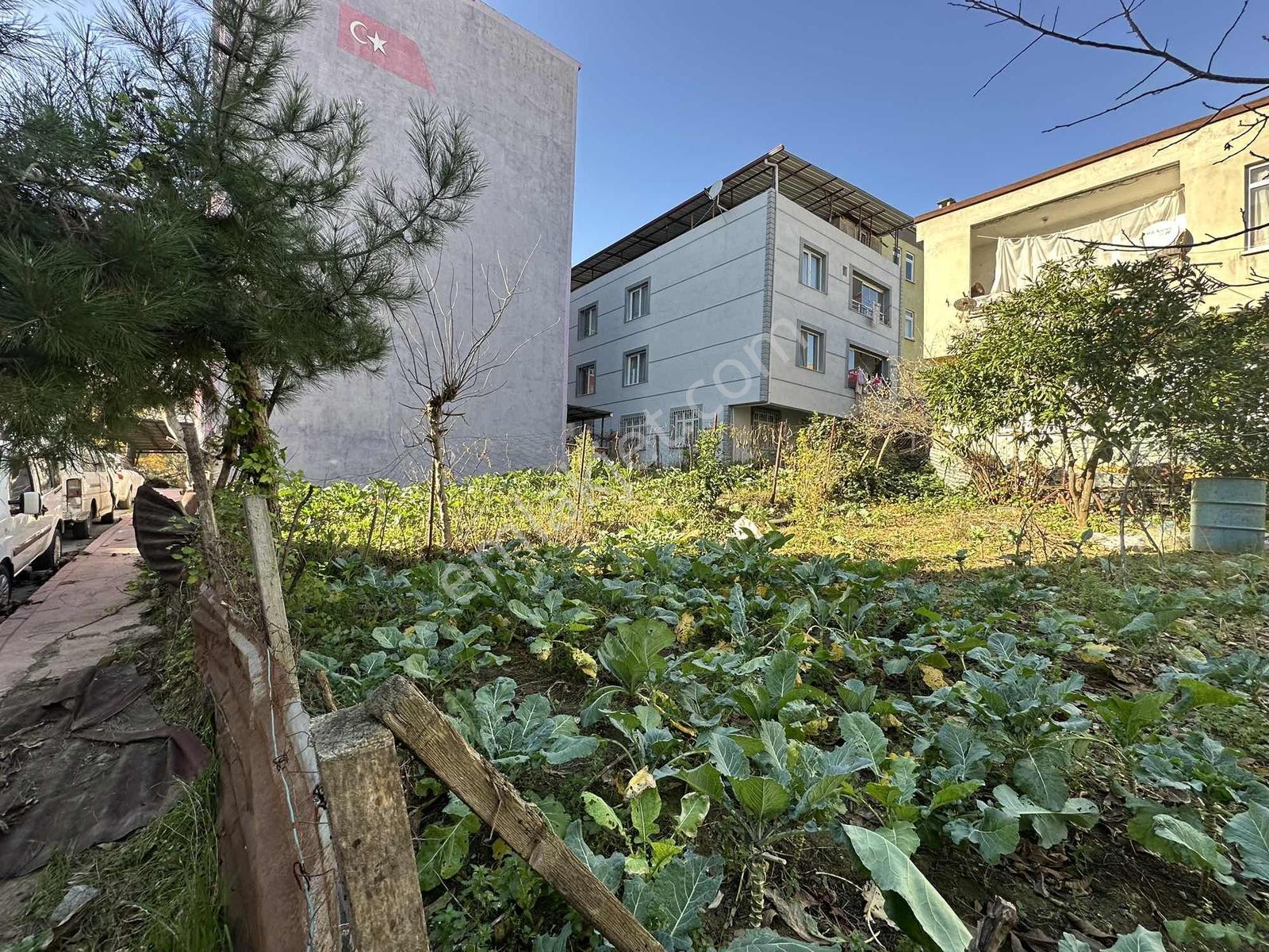 Remax Murat'tan İlkadım Tepecik'de 1+1 Parasına Satılık Arsa