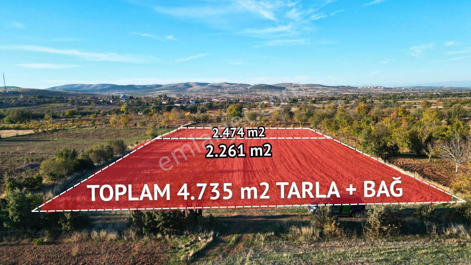Bekilli Sırıklı Mah.bağ Köye 600 Metre 2 Adet Tarla - Görsel 6