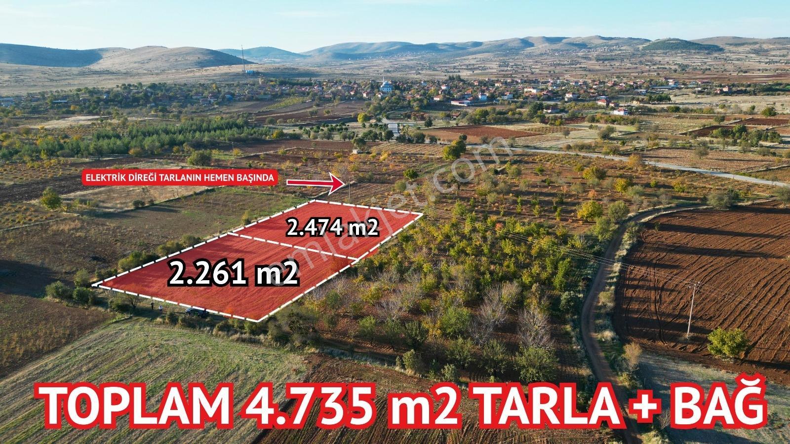 Bekilli Sırıklı Mah.bağ Köye 600 Metre 2 Adet Tarla - Görsel 2
