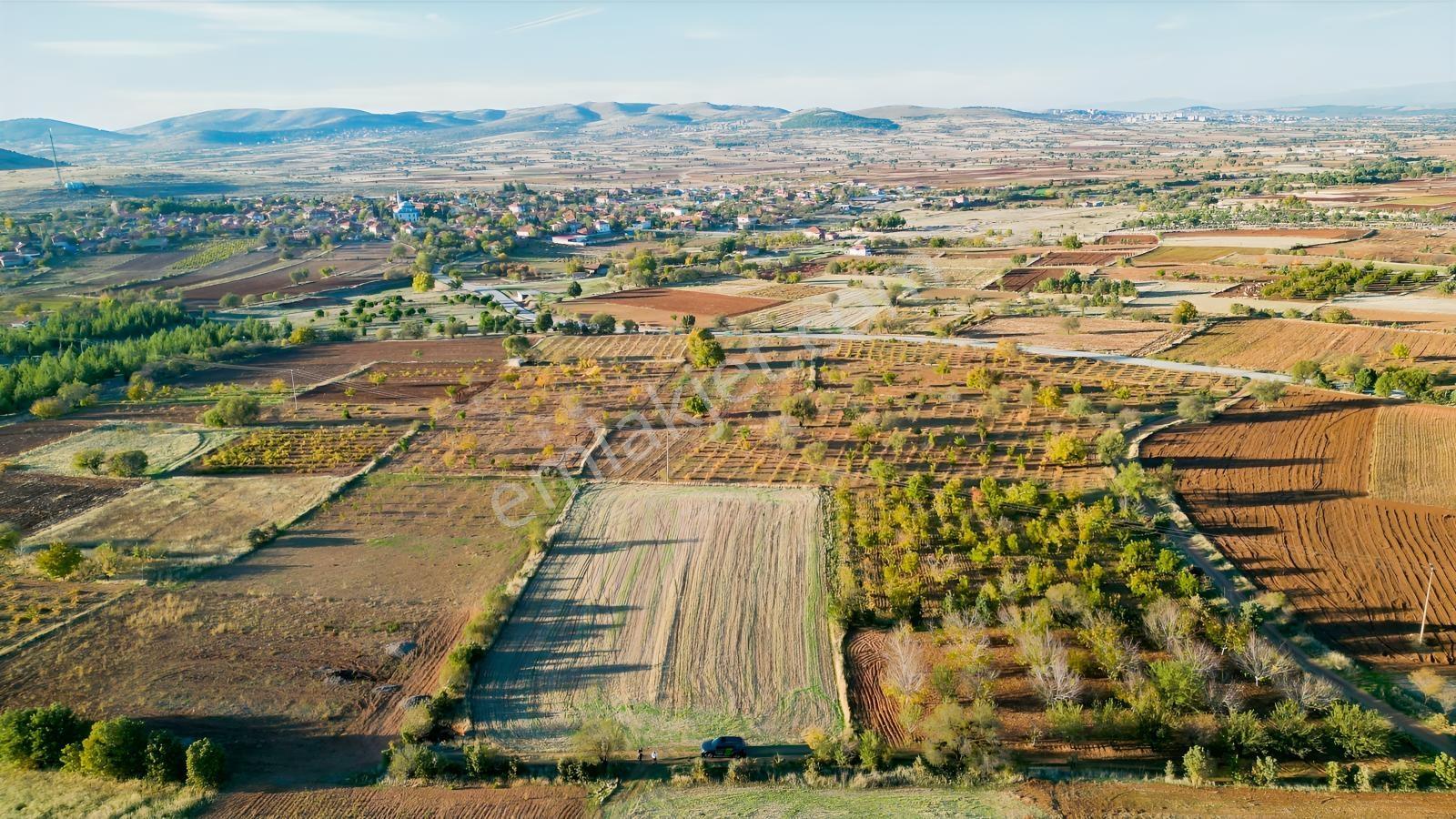 Bekilli Sırıklı Mah.bağ Köye 600 Metre 2 Adet Tarla - Görsel 11