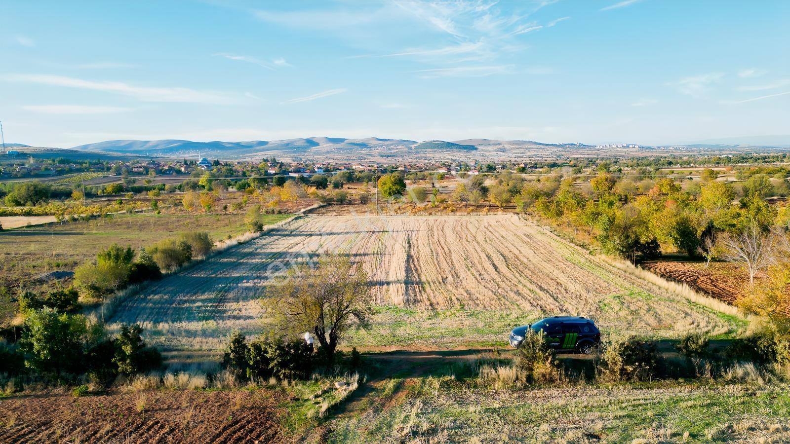 Bekilli Sırıklı Mah.bağ Köye 600 Metre 2 Adet Tarla - Görsel 9