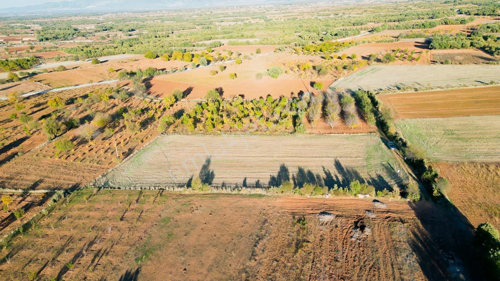 Bekilli Sırıklı Mah.bağ Köye 600 Metre 2 Adet Tarla - Görsel 14