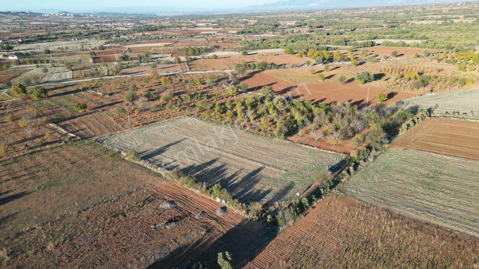 Bekilli Sırıklı Mah.bağ Köye 600 Metre 2 Adet Tarla - Görsel 15