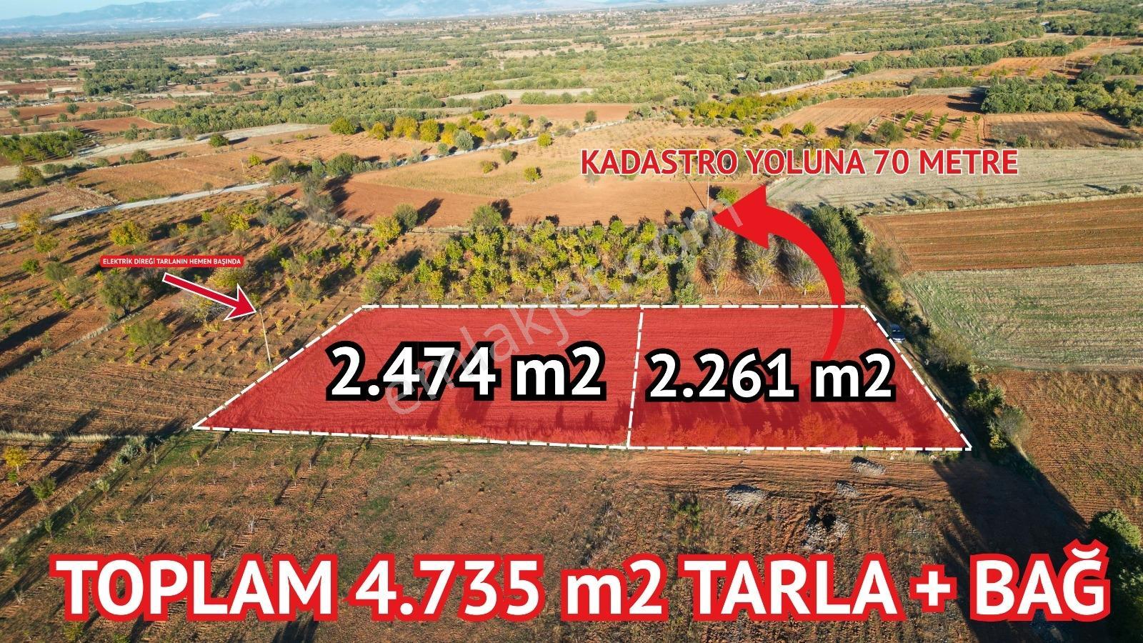 Bekilli Sırıklı Mah.bağ Köye 600 Metre 2 Adet Tarla - Görsel 4