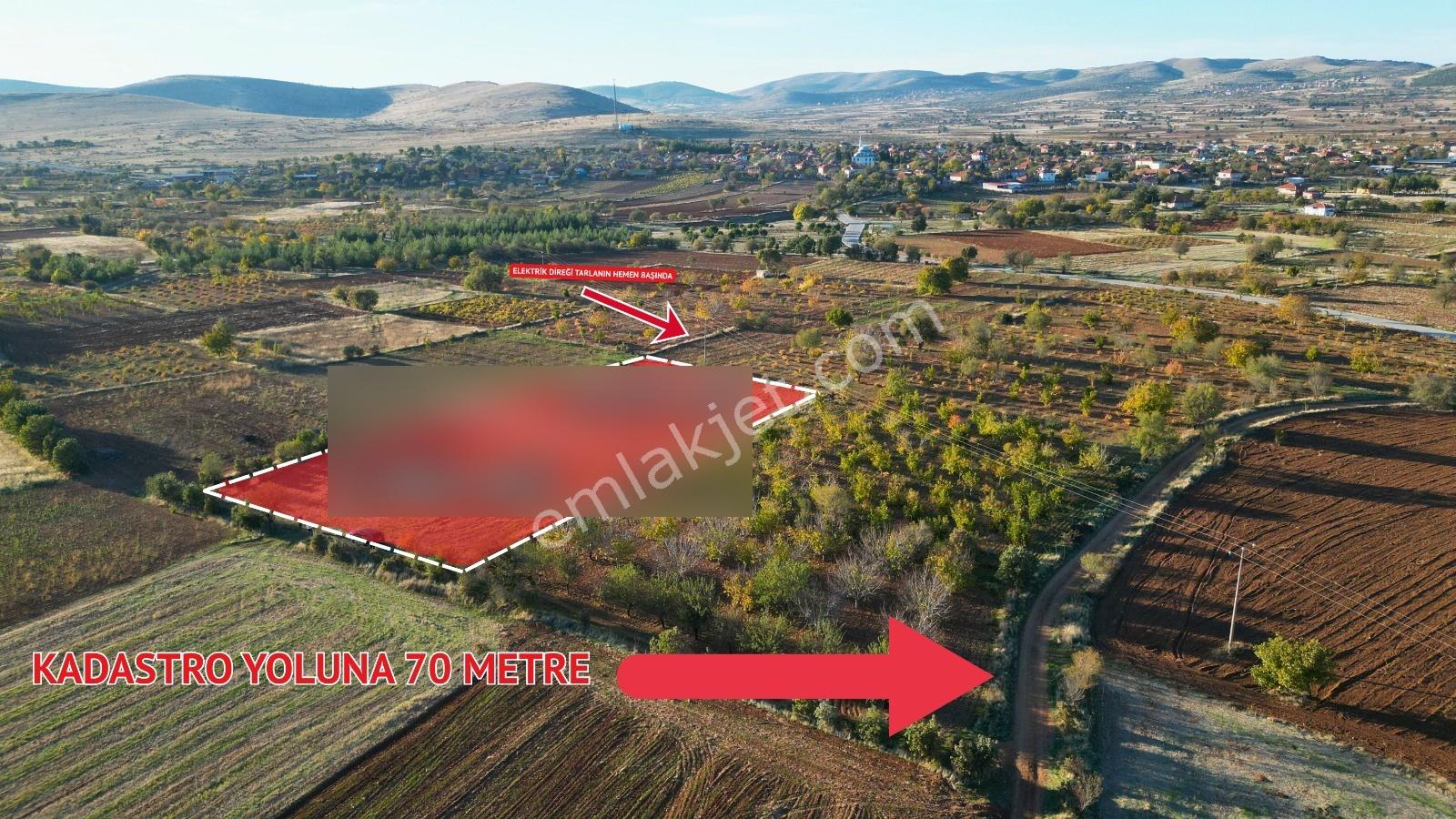 Bekilli Sırıklı Mah.bağ Köye 600 Metre 2 Adet Tarla - Görsel 7