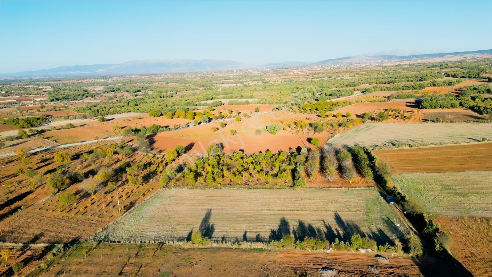 Bekilli Sırıklı Mah.bağ Köye 600 Metre 2 Adet Tarla - Görsel 18