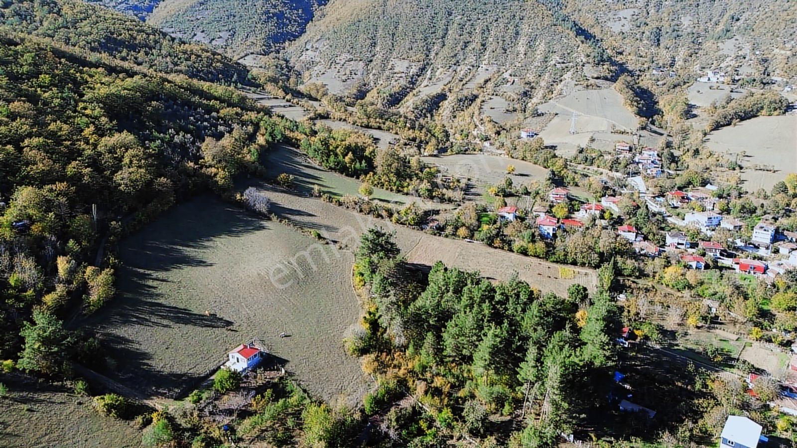 Turizm Bölgesinde,göl Manzaralı & Özel Yolu Olan 9.960 Metrekare - Görsel 6