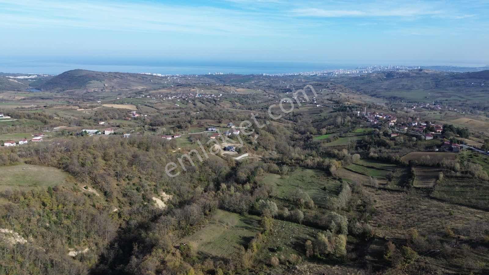 Atakum Çamlıyazıda 1.668 M² Tarla Yatırıma Uygun Fırsat