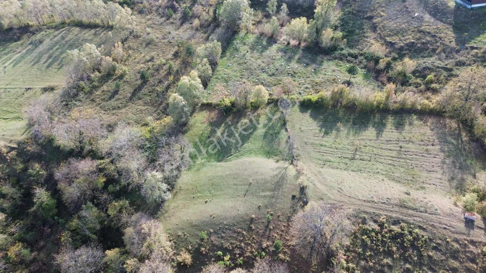 Atakum Çamlıyazıda 1.668 M² Tarla Yatırıma Uygun Fırsat - Görsel 12