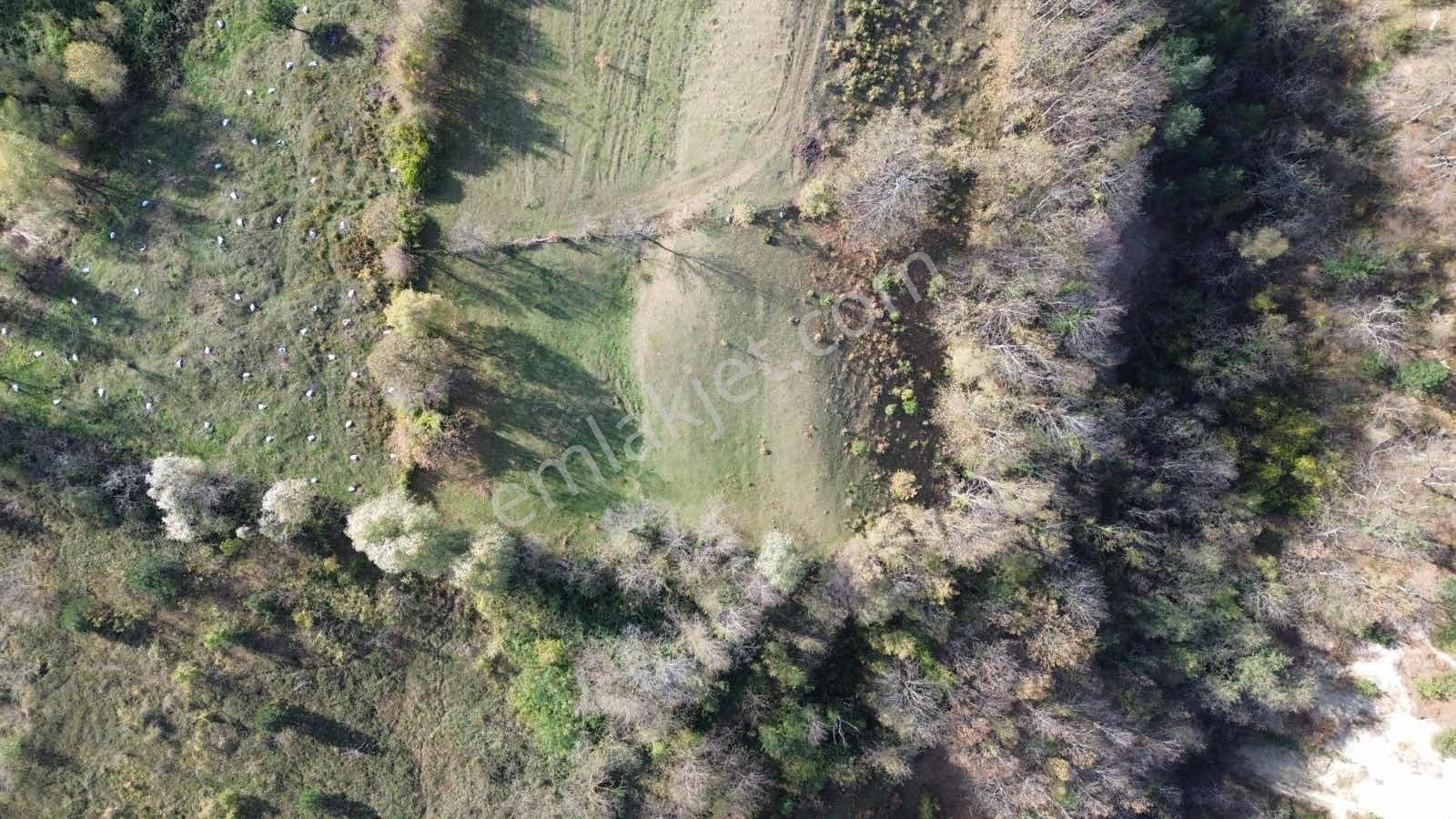 Atakum Çamlıyazıda 1.668 M² Tarla Yatırıma Uygun Fırsat - Görsel 13