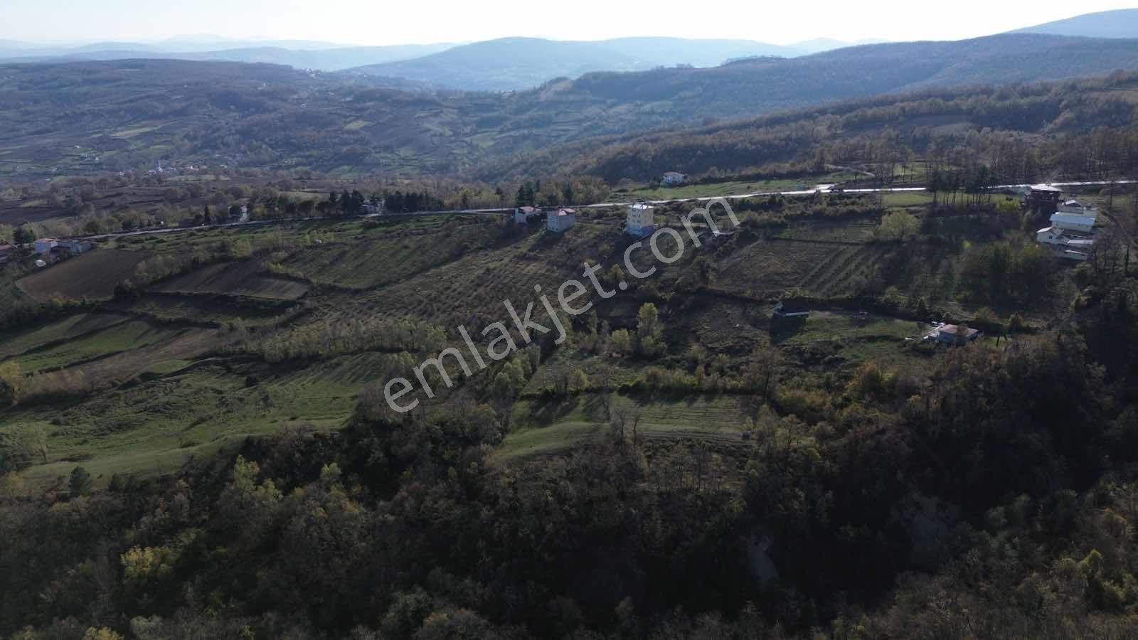 Atakum Çamlıyazıda 1.668 M² Tarla Yatırıma Uygun Fırsat - Görsel 11