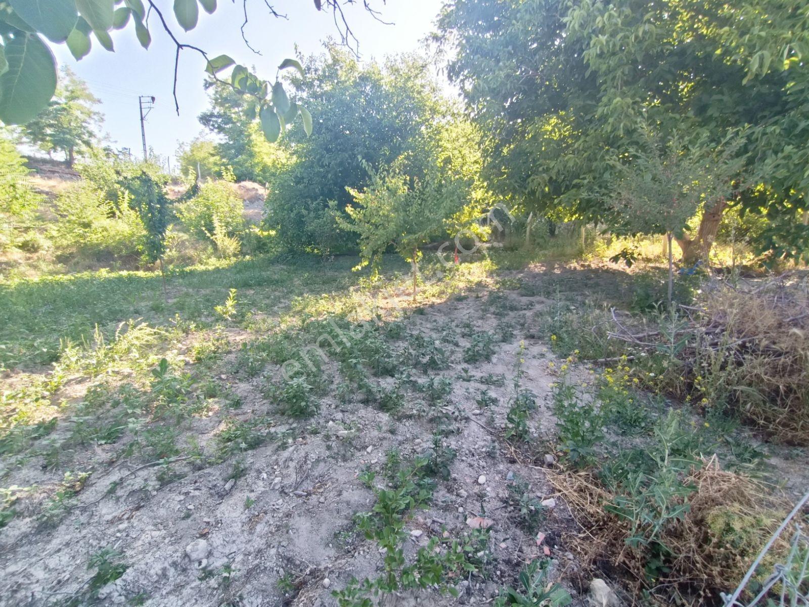 Aksaray'da Beş Kata Konut İmarlı Satılık Arsa Veya Hobi Bahçesi - Görsel 17